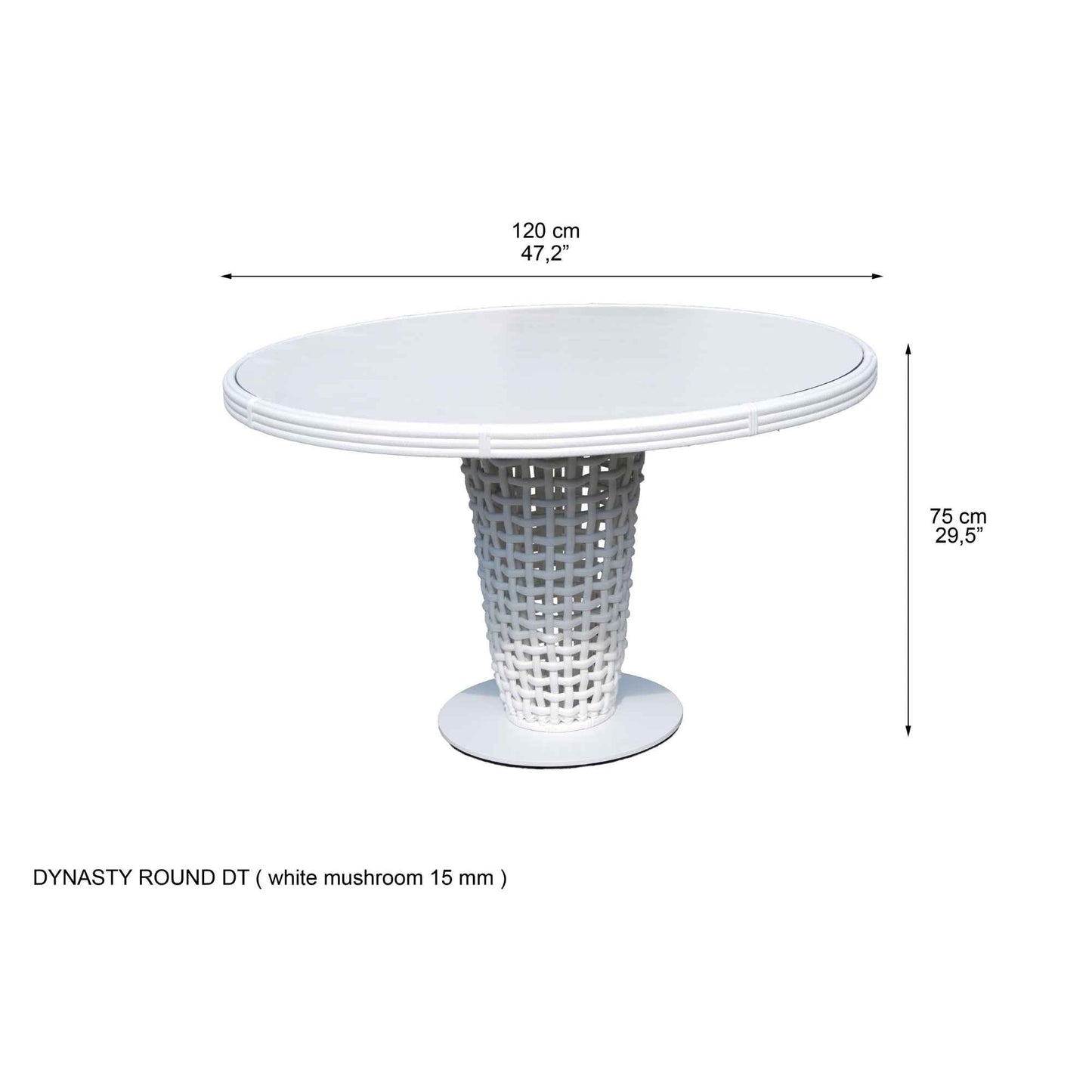 Dynasty 5-Piece Dining Set with Sunbrella Cushion